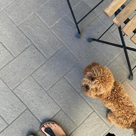 Casa Di Chloe - A 4 Minuti A Piedi Dai Navigli - A 20 Minuti A Piedi Dal Duomo Appartement Milan